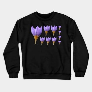 Crocus rujanensis Crewneck Sweatshirt